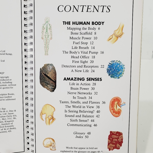 Discovery Bodyworks Interactive Human Body Book NW - Picture 4 of 11